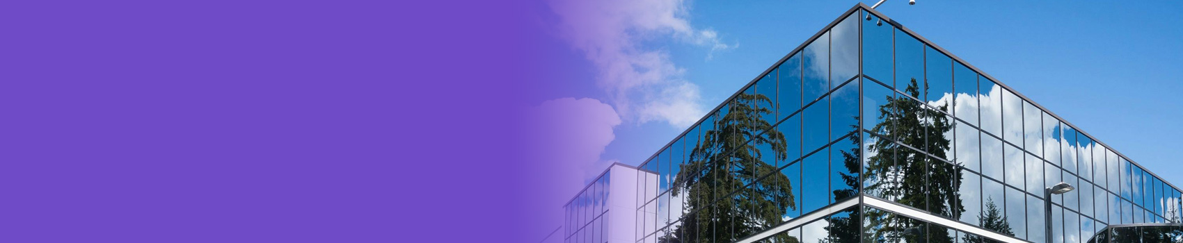 Catalyst digi solution about us